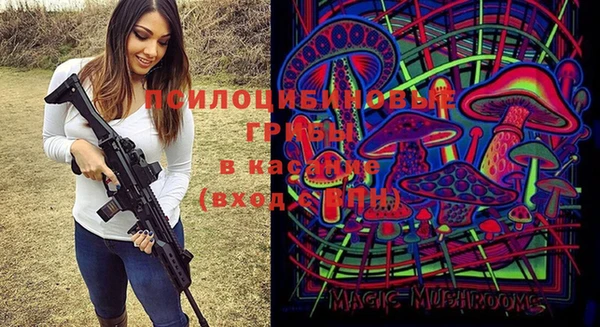 прущие крисы Богородск