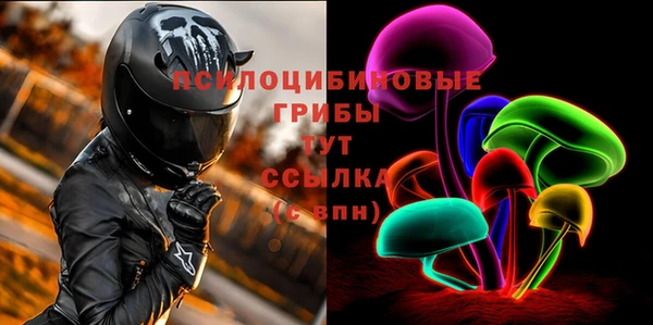 дмт Няндома