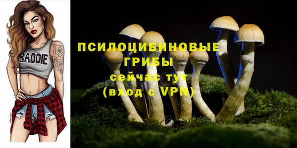 винт Богданович