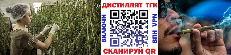 купить цена Богданович ТГК гашишное масло