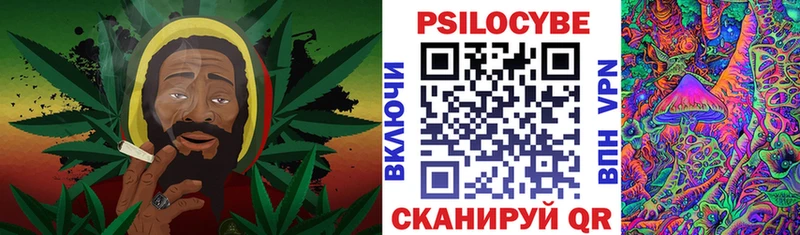 Галлюциногенные грибы ЛСД  Богданович 